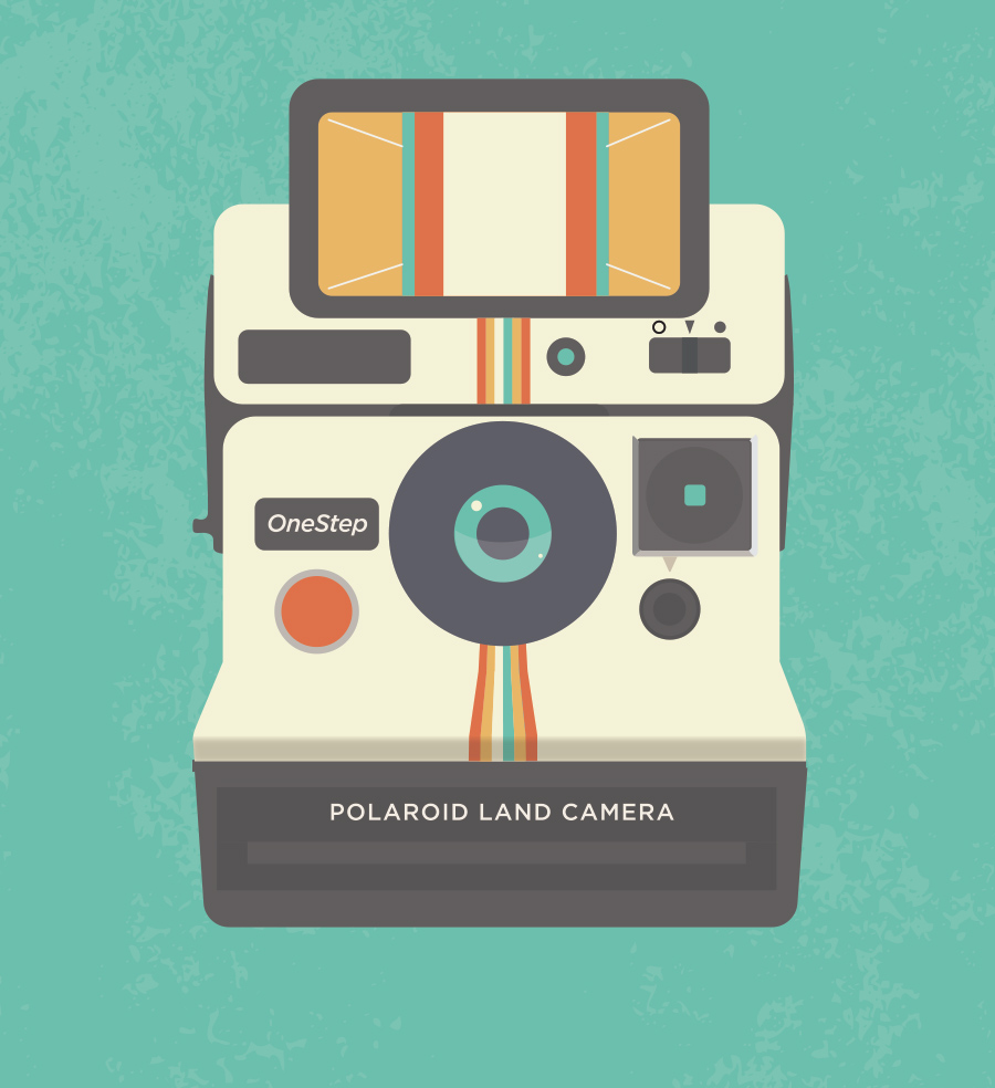 Polaroid Consumer Product Style Guide Classic Camera Design 3