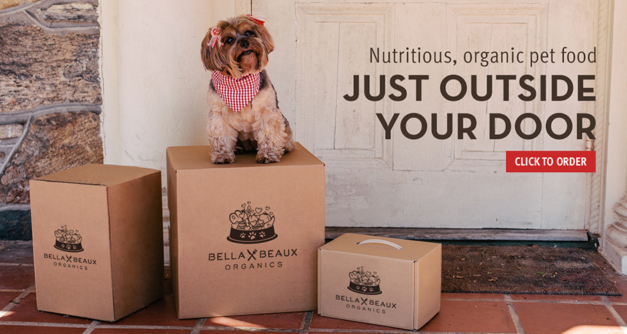 Bella and Beaux Marketing Materials Photography 4