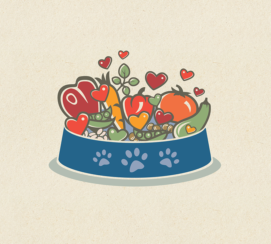 Illustrated bowl of organic dog food with hearts for pet food brand marketing collateral.