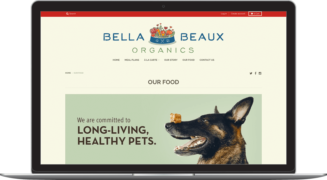 Bella and Beaux Marketing Materials Website