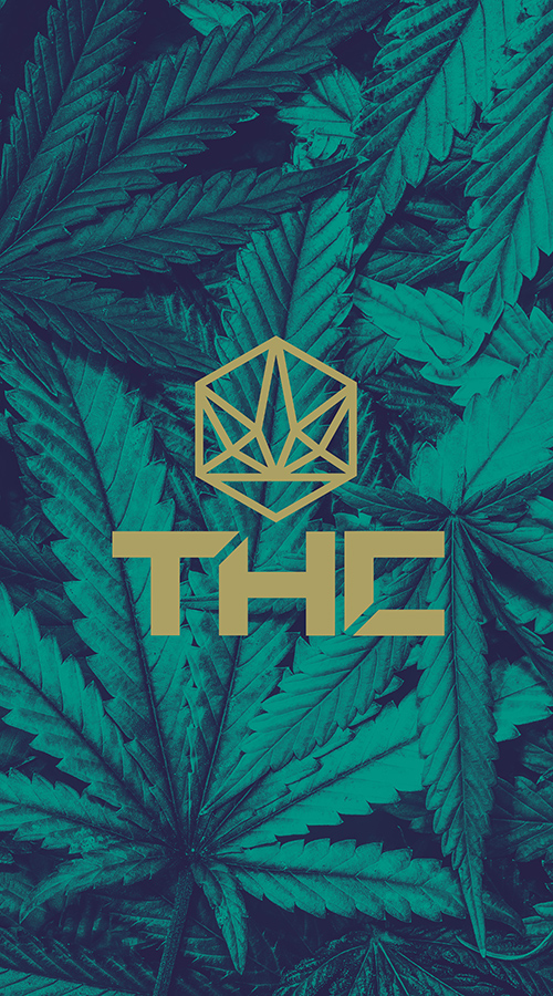 THC logo over cannabis for lifestyle brand licensing style guide.