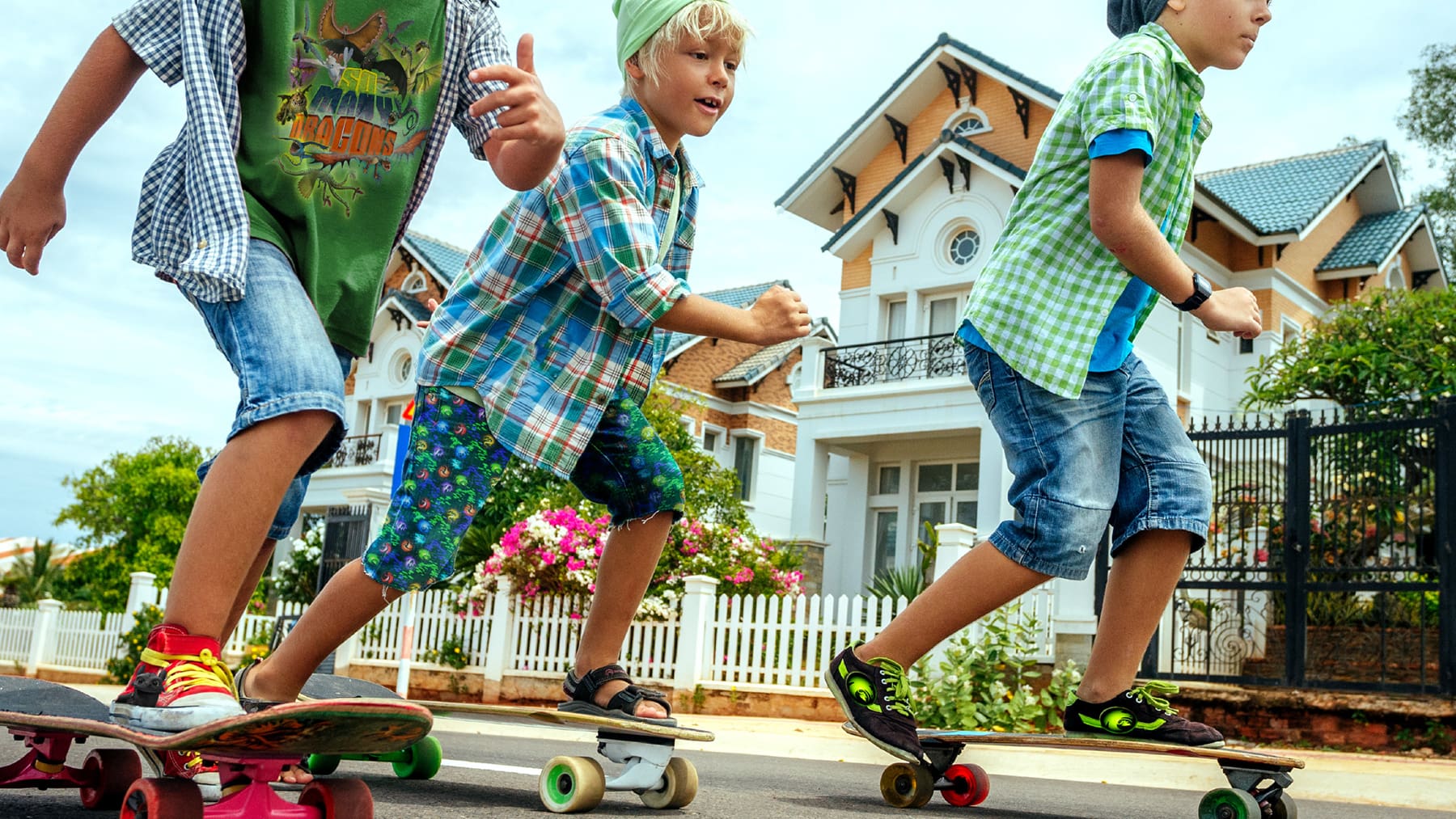 How to Train Your Dragon Theme Art Collection Skateboard Boys