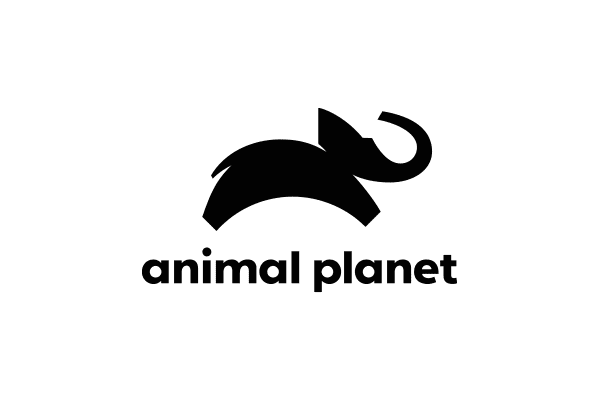 Animal Planet Logo Lockup