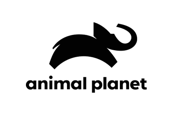 Animal Planet Logo Lockup