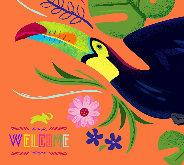 Portfolio: "Welcome" colorful illustrations of toucan for Animal Planet sub-brand licensing style guide.