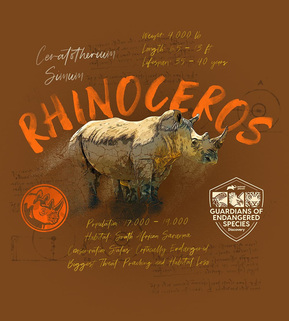 Logo Design Composed Design Rhinoceros