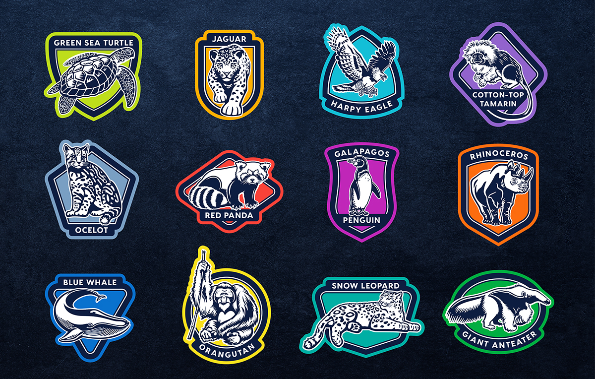 Logo Design Animal Planet