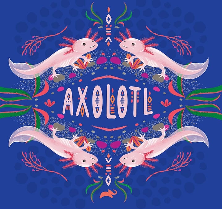 Animal Planet Latin American Kingdom Illustrations Axolotl Design