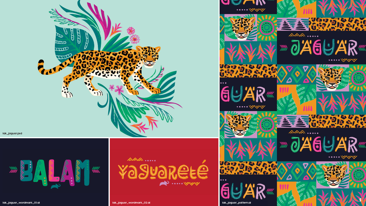 Animal Planet Latin American Kingdom Illustrations Jaguar Patterns