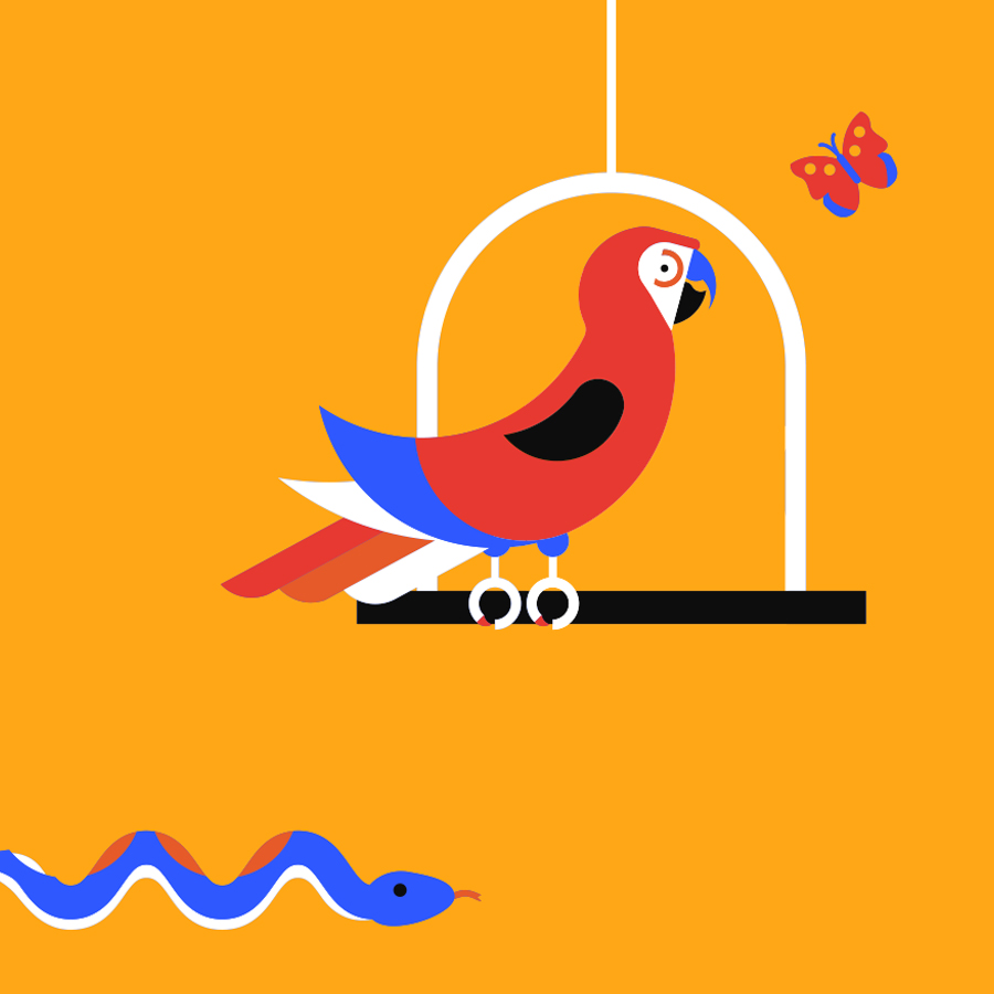 The Dodo Graphic Elements Design Parrot